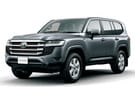 Коврики на Toyota Land Cruiser 300 2021 - 2025 в Нижнем Новгороде