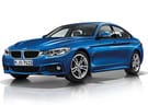 Коврики на BMW 4 (F36/F32/F33) 2013 - 2020 в Нижнем Новгороде