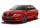 Коврики на Skoda Octavia A7 2013 - 2020 в Нижнем Новгороде