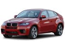 Коврики на BMW X6 (E71/E72) 2008 - 2014 в Нижнем Новгороде