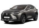 Коврики на Lexus NX II 2021 - 2025 в Нижнем Новгороде