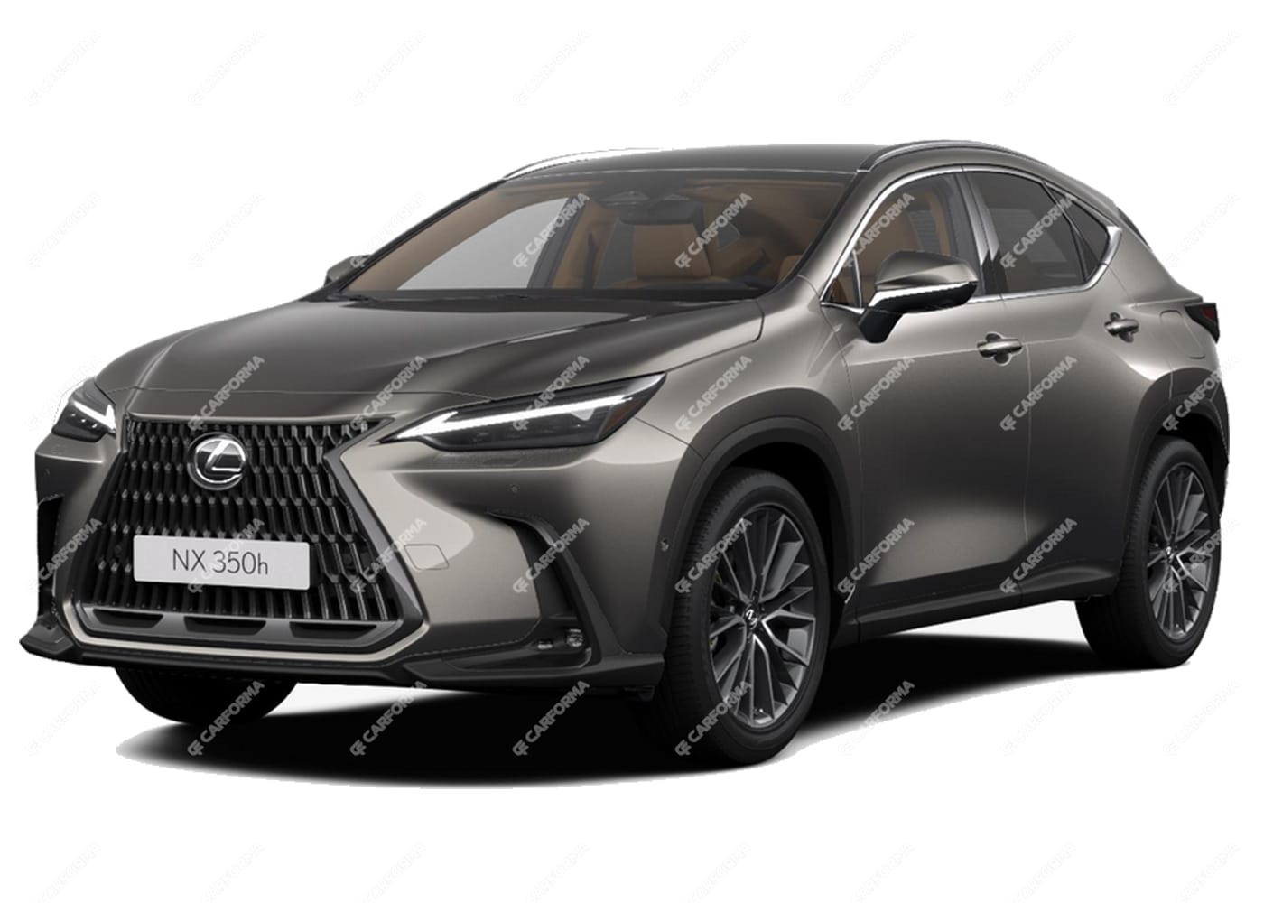 Коврики на Lexus NX II 2021 - 2025