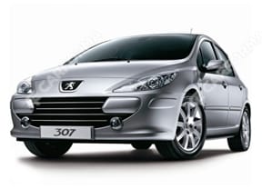 Коврики на Peugeot 307 2001 - 2008