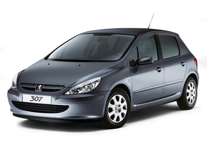 EVA коврики на Peugeot 307 2001 - 2008 в Нижнем Новгороде