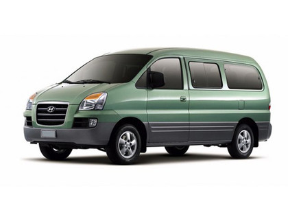 EVA коврики на Hyundai Starex 1996 - 2007 в Нижнем Новгороде