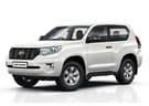 Ворсовые коврики на Toyota Land Cruiser Prado 150 2009 - 2023 в Нижнем Новгороде