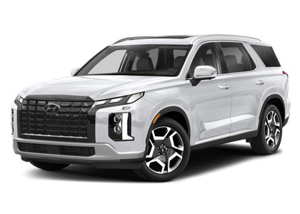 Ворсовые коврики на Hyundai Palisade 2018 - 2025 в Нижнем Новгороде