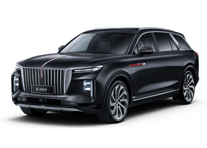 EVA коврики на Hongqi E-HS9 2022 - 2025 в Нижнем Новгороде