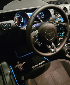 Ворсовые коврики на Ford Mustang VI 2013&nbsp;-&nbsp;2023 в Нижнем Новгороде