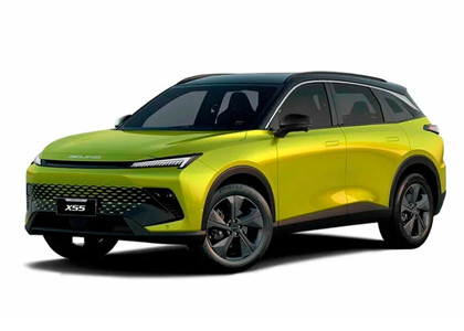 Коврики на Baic X55 2022 - 2025 в Нижнем Новгороде